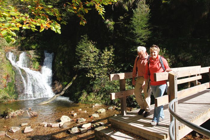 Ferienwohnung mit Wanderumgebung im Schwarzwald Ferienwohnung mit Wanderumgebung im Schwarzwald