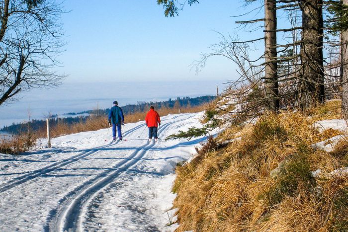 Loipenparadies Loipenparadies